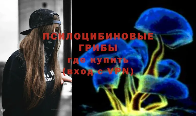 shop телеграм  Киров  Галлюциногенные грибы Magic Shrooms 