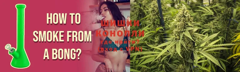 купить наркотик  Киров  Конопля White Widow 